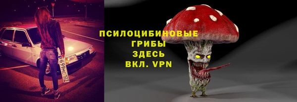 прущие крисы Абаза