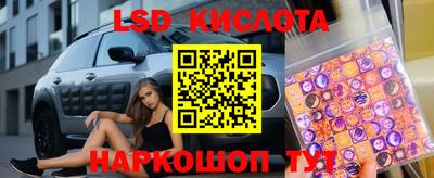 сатива Камышлов