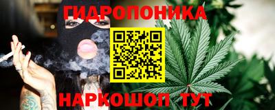 ECSTASY Канаш
