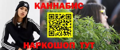 сатива Камышлов