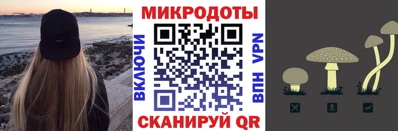 Галлюциногенные грибы Cubensis Лабытнанги