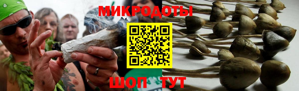 Лабытнанги  Псилоцибиновые грибы GOLDEN TEACHER  Вход с VPN  Галлюциногенные грибы Cubensis 