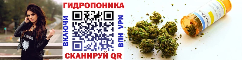 shop формула  MEGA   Бошки марихуана OG Kush  Лабытнанги  где купить наркоту 